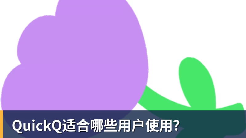 QuickQ适合哪些用户使用?